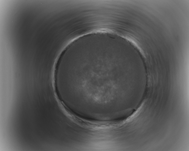 X0000089881038200707051206