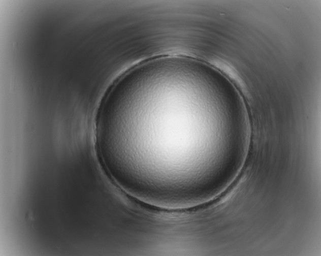 X0000089881040200707051206