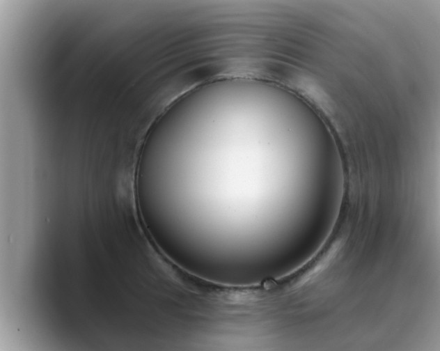 X0000089881041200707051206