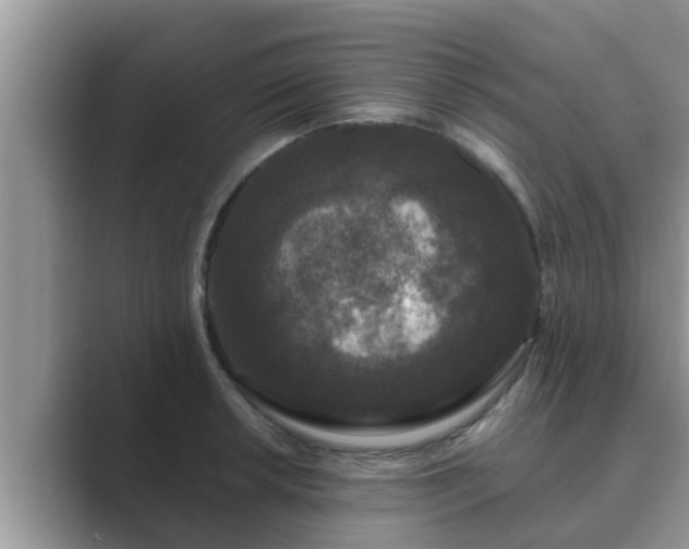 X0000089881042200707051206