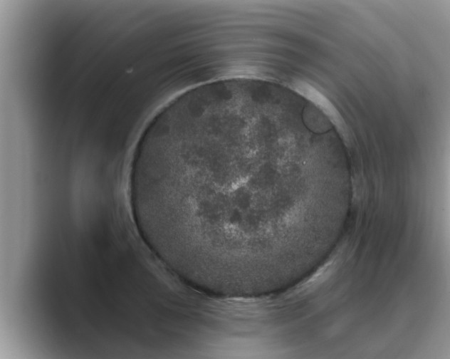 X0000089881043200707051206