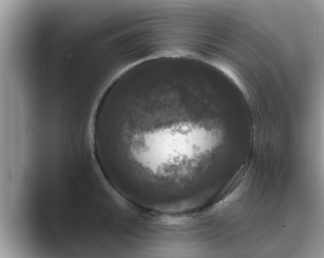 X0000089881046200707051206