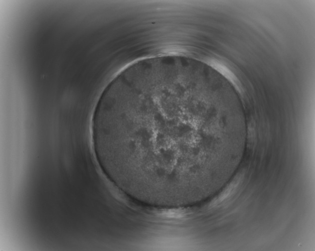 X0000089881047200707051206