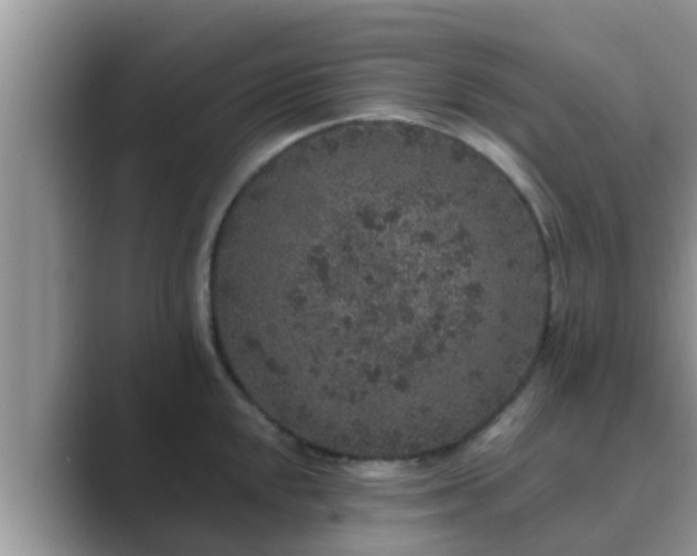 X0000089881048200707051206