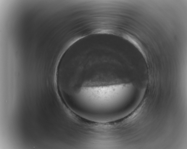 X0000089881050200707051206