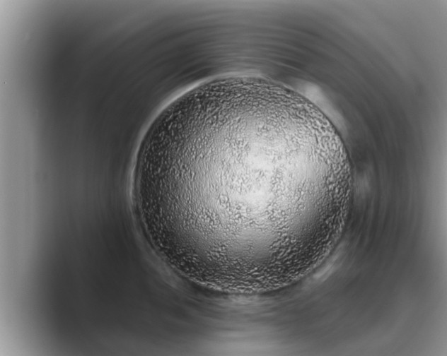 X0000089881052200707051206