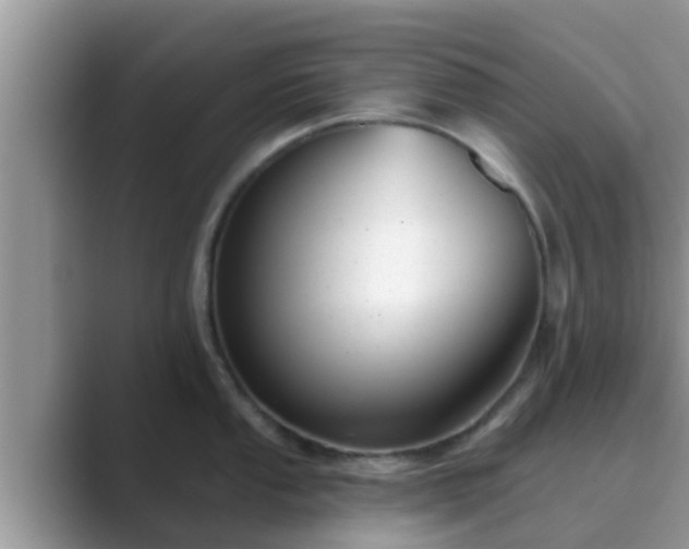 X0000089881053200707051206