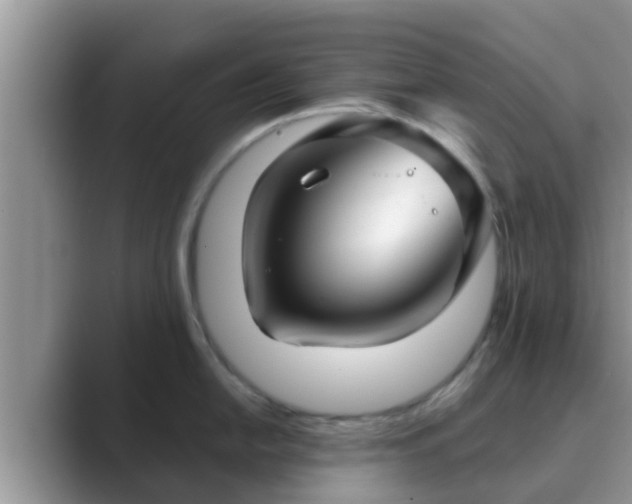 X0000089881054200707051206