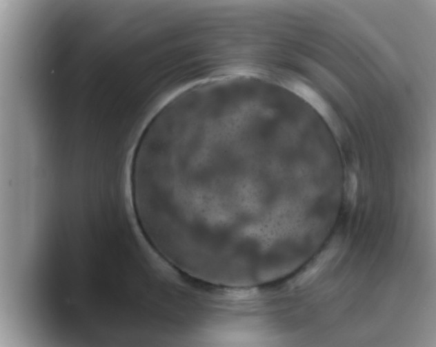 X0000089881055200707051206