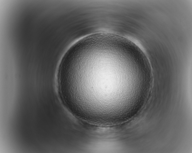 X0000089881056200707051206