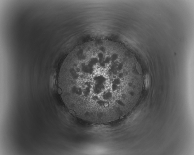 X0000089881059200707051206