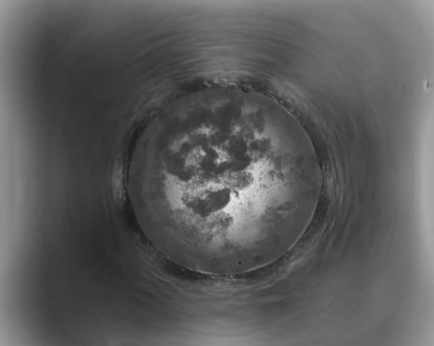 X0000089881060200707051206