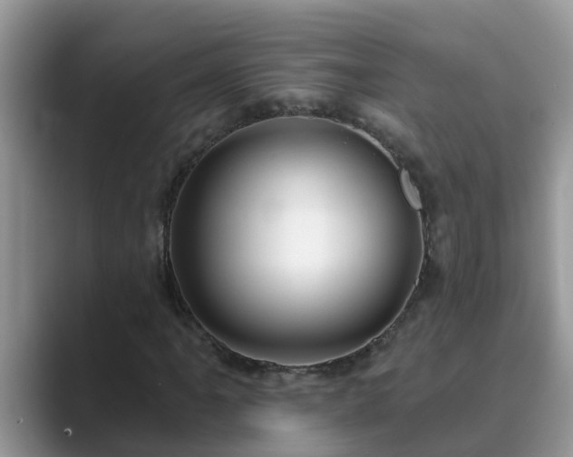 X0000089881061200707051206