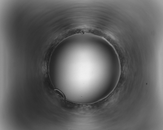 X0000089881062200707051206