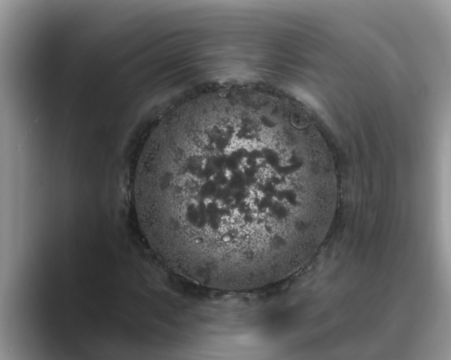 X0000089881063200707051206