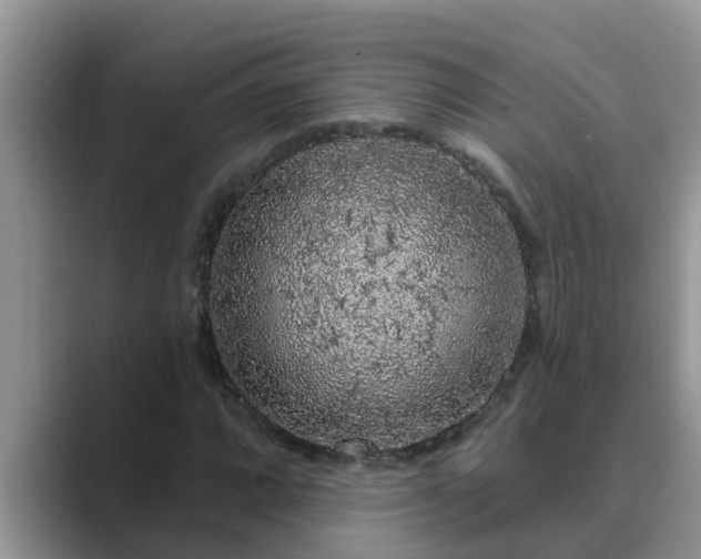 X0000089881064200707051206