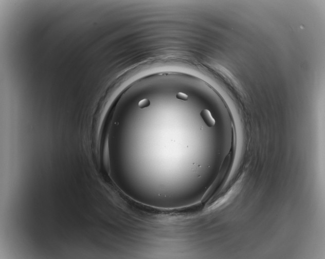 X0000089881065200707051206