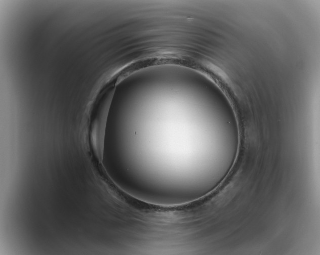 X0000089881066200707051206