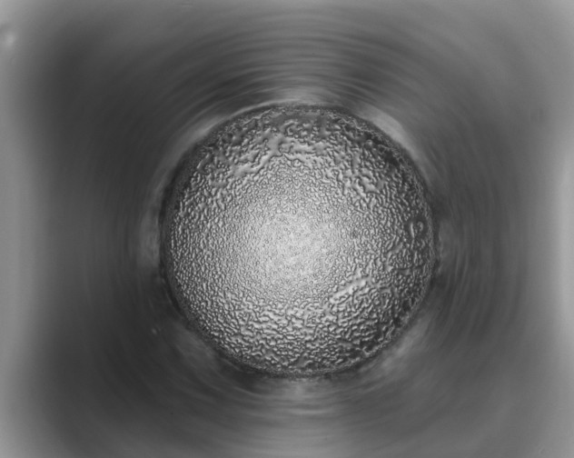 X0000089881067200707051206