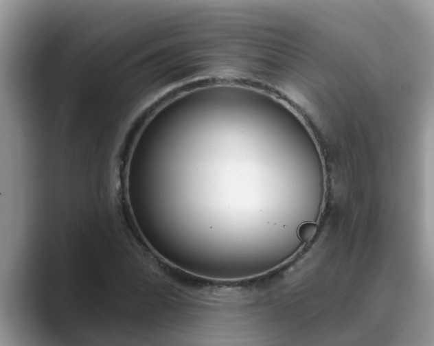 X0000089881070200707051206