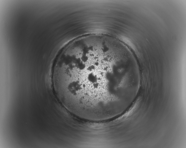 X0000089881071200707051206