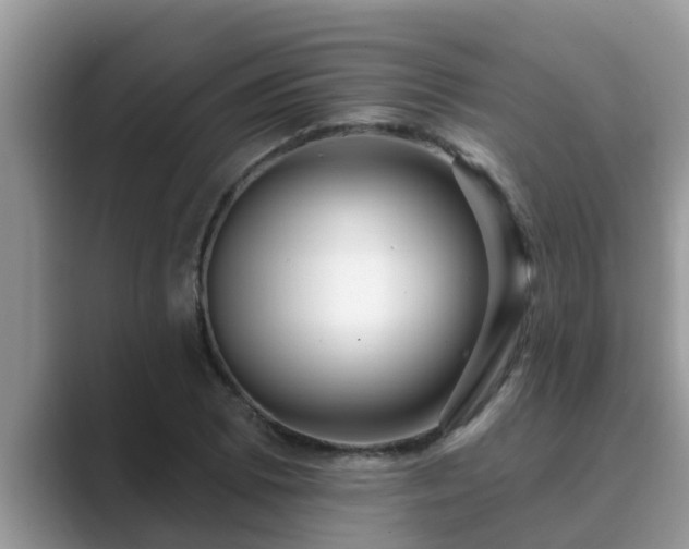 X0000089881073200707051206