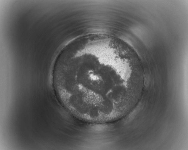 X0000089881074200707051206