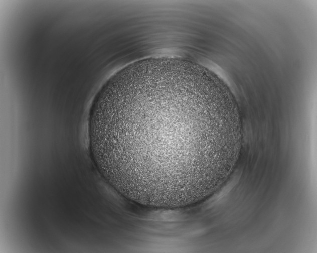 X0000089881075200707051206