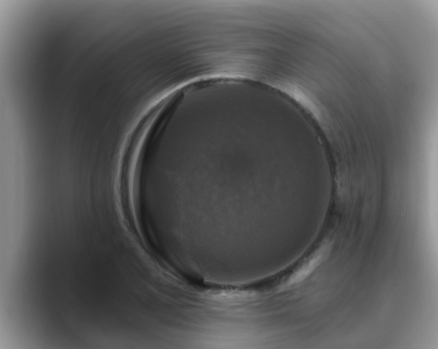 X0000089881077200707051206