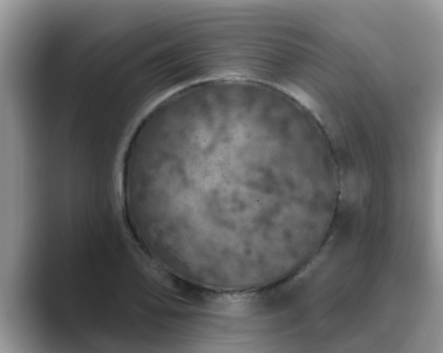 X0000089881078200707051206