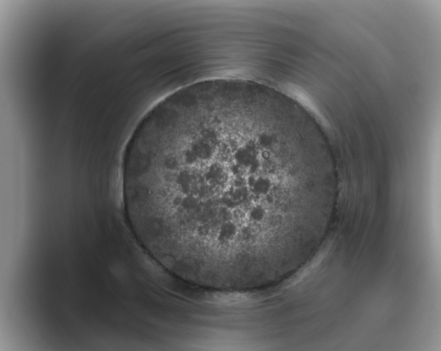 X0000089881079200707051206