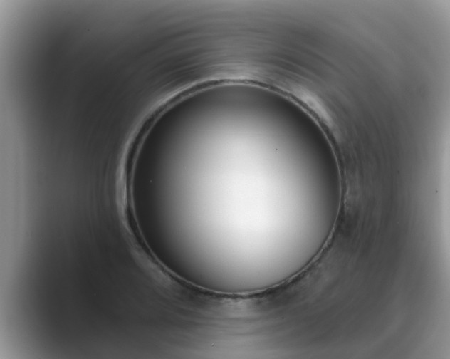 X0000089881080200707051206