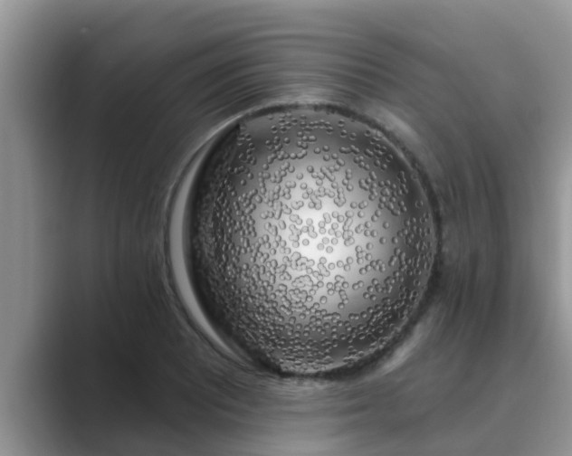 X0000089881081200707051206