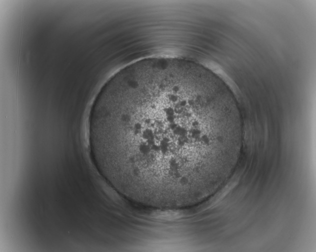 X0000089881083200707051206