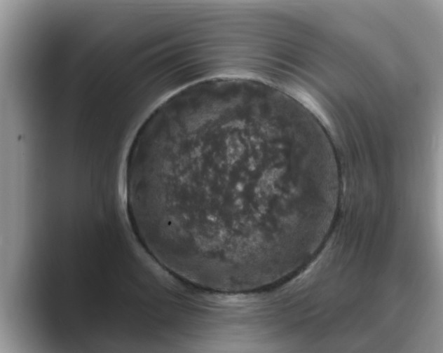 X0000089881084200707051206