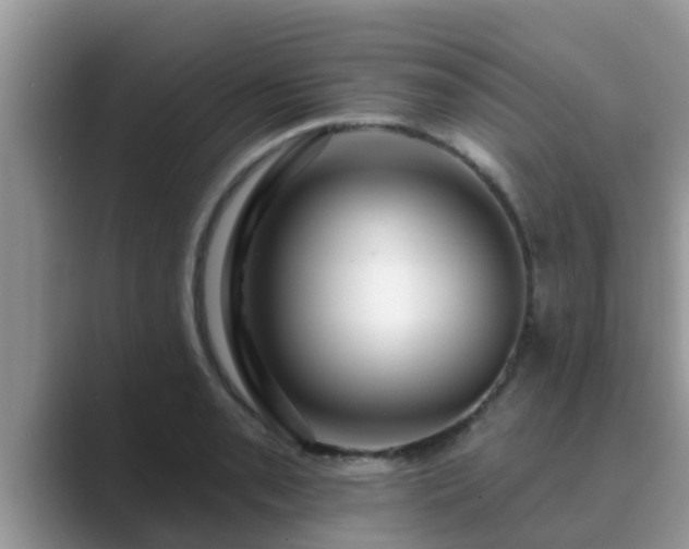 X0000089881085200707051206