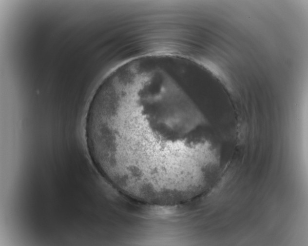 X0000089881086200707051206