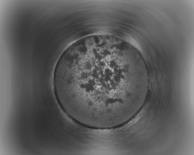 X0000089881087200707051206