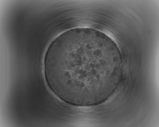 X0000089881088200707051206