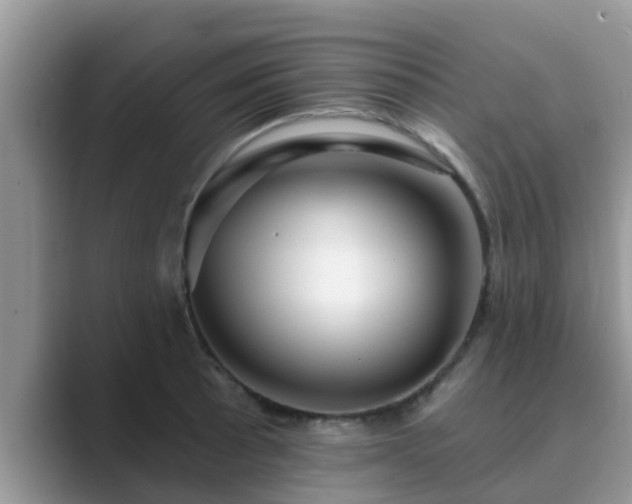 X0000089881089200707051206