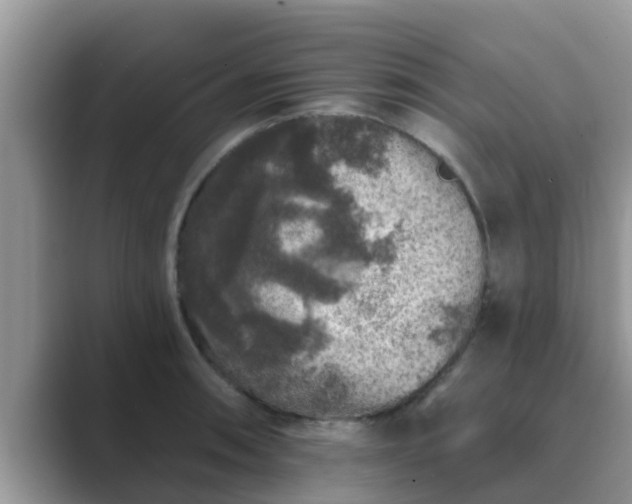 X0000089881090200707051206