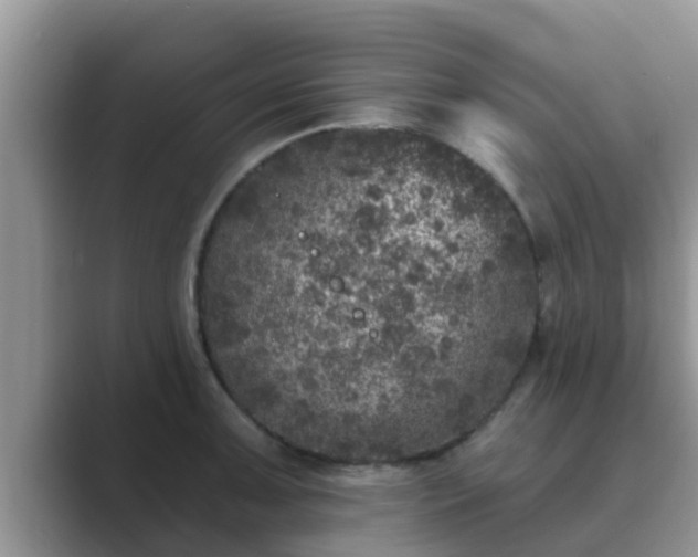 X0000089881091200707051206