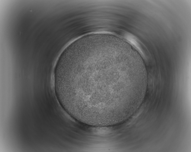 X0000089881092200707051205