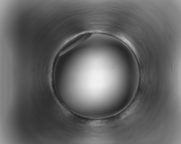 X0000089881093200707051205