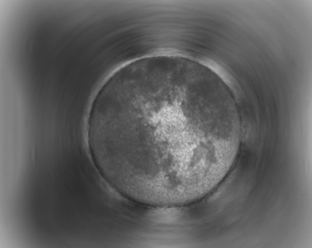 X0000089881094200707051205