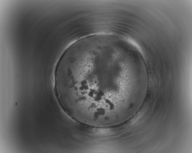 X0000089881095200707051205