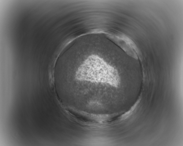 X0000089881097200707051205