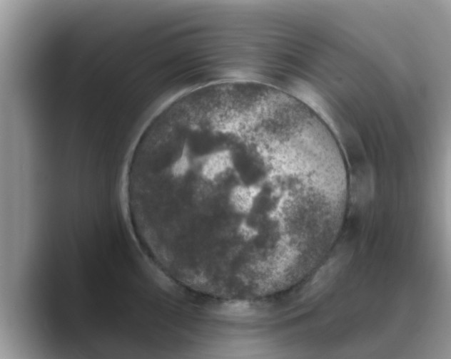 X0000089881098200707051205