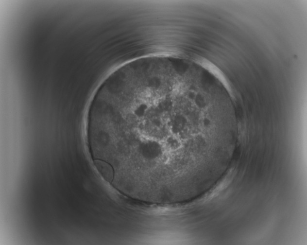 X0000089881099200707051205