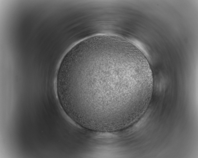 X0000089881100200707051205